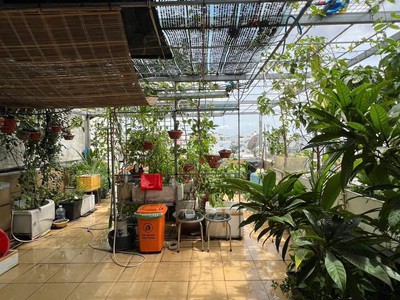 Mặt tiền kinh doanh 4 tầng đường nguyễn phúc chu quận tân bình, hơn 117m2, ngang 6m, kinh doanh đa 4