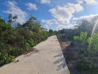 Bán 35m x 65m đất ont tân phước - tx lagi gần biển   577 giá rẻ 4