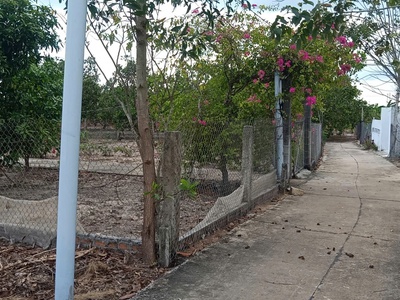 Bán 1176m2 đất ont tân thắng - huyện hàm tân giá ngộp chỉ 800 triệu 3