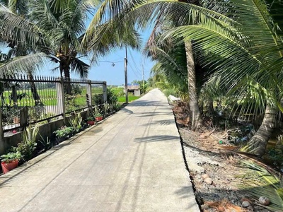 1240m2 đất lúa   thổ xã Thạnh Đức, Bến Lức giá 3 tỷ 0
