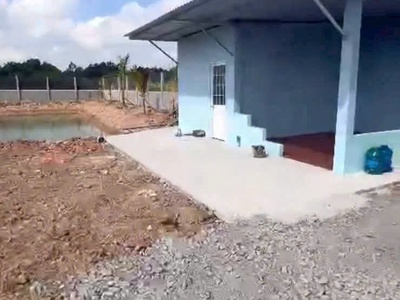 1240m2 đất lúa   thổ xã Thạnh Đức, Bến Lức giá 3 tỷ 5