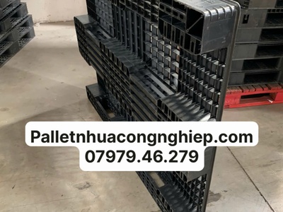 Pallet nhựa tại Bình Định bán chạy nhất khu vực 1