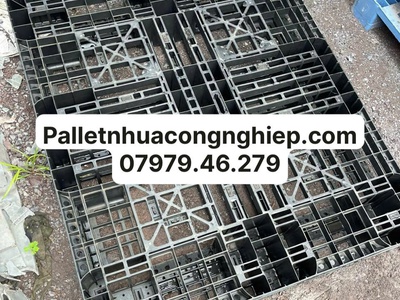 Pallet nhựa tại Bình Định bán chạy nhất khu vực 3
