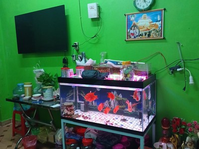 Kẹt tiền bán nhà giá rẽ,lưu hữu phước, dt: 56m2  4m x 14m  x 2t chỉ 3 tỷ 0