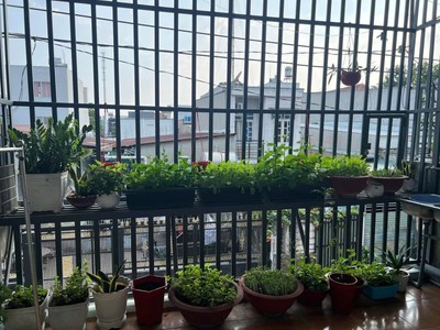 Bán nhà kp thống nhất dĩ an bình dương 1