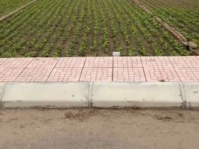 Chính chủ bán đất nền ven biển quất lâm 0