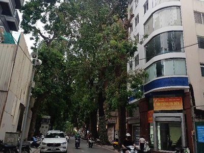 Siêu hiếm bán nhà mặt phố hàng vải  phố cổ hoàn kiếm  vị trí kinh doanh vàng.diện tích: 83.7m  x 2 2