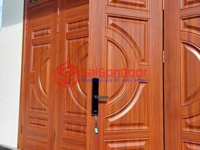 Cửa thép vân gỗ 3