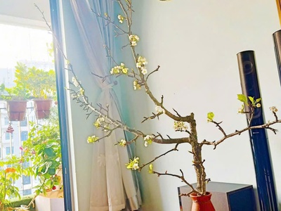 Cần bán Căn hộ chung cư dự án Goldmark City, Diện tích 104m . 0