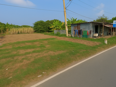 Bán lô đát MT quốc lộ 50   TP. GÒ CÔNG   100M    SỔ RIÊNG   CHỈ 650 TRIỆU 0