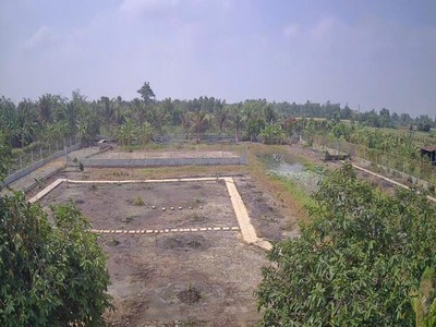 Quá rẻ đất 0.5ha, nở hậu, đ.4m   trường đông tn 2