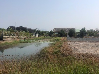 Quá rẻ đất 0.5ha, nở hậu, đ.4m   trường đông tn 3