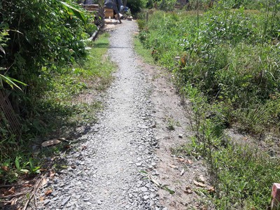 Plash deal chính chủ bán gấp 105 m2 full thổ cư 2 mặt tiền đường xe hơi 4m và mặt sau 2m. 1