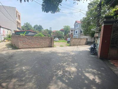 Bán 700m đất trồng cây lâu năm tại cổ loa - đông anh - hà nội 0