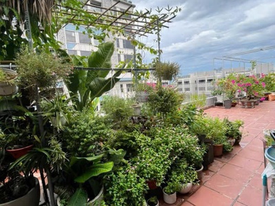 Cho thuê nhà phố dự án d verano, đường nguyễn cơ thạch, p. thủ thiêm, tp thủ đức, 1 hầm 4 tầng, dt 3