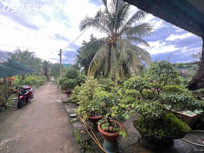 Bán đất khu dân cư phước thiện, thủ đức   cơ hội đầu tư sinh lời cực cao 0