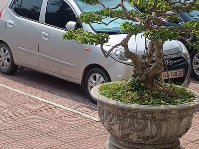Bán xe đang đi làm hàng ngày tại Hải Phòng 18