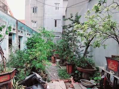 Bán 50M đất hưng phúc cách phố 30M hoàng mai 0