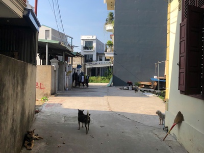 Bán lô đất 112.5m2 đất Vĩnh Khê, An Đồng. Gần chung cư Hoàng Huy. Ô tô vào tận đất. 1