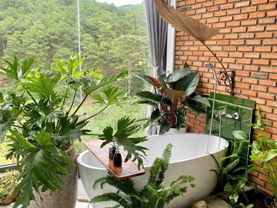 Bán home đang kinh doanh ổn định tại P10 chỉ 15 tỷ 1