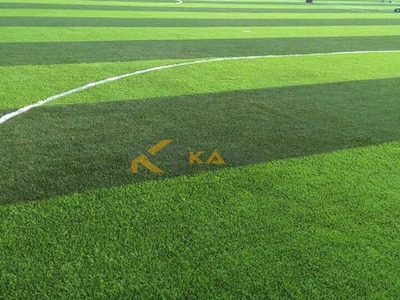 Cung cấp cỏ sân bóng đá nhân tạo giá rẻ tại TPHCM 1