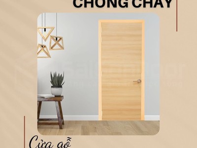 Cửa gỗ chống cháy 3