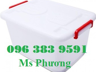 Thùng đa năng 80L đựng đồ gọn gàng, chất liệu nhựa bền đẹp 2