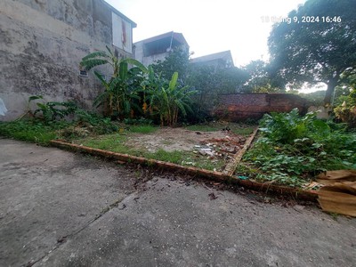 Chủ tìm khách, tiên hùng, 79.5m2, mt5m, nở hậu, 4.8 tỷ đông anh. ô tô, gần phố. 3