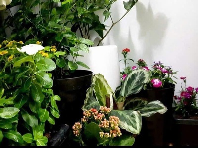 Bán căn hộ chung cư rice city linh đàm, quận hoàng mai, 68m2, 2 ngủ, sổ đỏ cc, giá 4.x tỷ 4