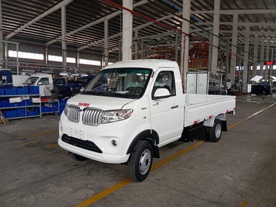 Thế Hệ Xe Tải Mới SRM S1 - Hàng Độc Quyền 1