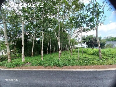 Bán gấp 5.000m2 tại kcn dầu tiếng 1 - 600k/m2 - 2.8tỷ 1