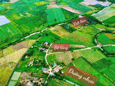 Buôn đôn- đắk lắk dt 3.6ha thực tế 4ha có nhà cấp 4, sẵn nguồn nước, điện, sẵn nguồn thu cao su giá 4