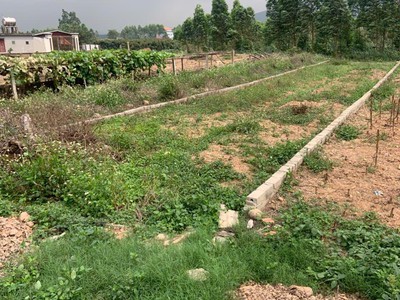 Chính chủ bán đất huyền sơn, lục nam   172.9m    70m  thổ cư   gần kcn   đường rộng 3