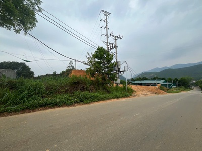 Cần bán đất khu đồng cốc , xã thắng sơn, huyện thanh sơn, phú thọ 1