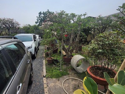 Bán đất 1173m  vuông vức   hẻm xe tải quay đầu   đường số 11, linh trung, thủ đức 2