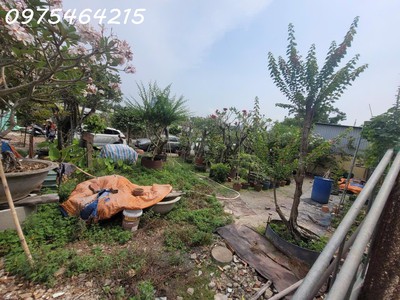 Bán đất 1173m  vuông vức   hẻm xe tải quay đầu   đường số 11, linh trung, thủ đức 1