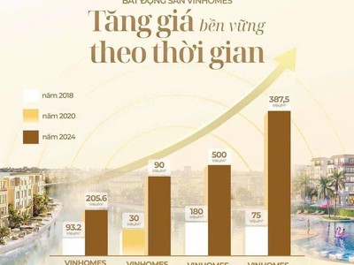 Sở Hữu Căn Hộ Vinhomes Chỉ Với 400 Triệu   Cơ Hội Vàng Trong Tầm T 1