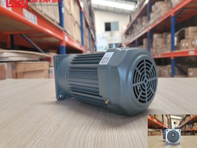 Động cơ giảm tốc mặt bích Wanshsin GV22-100W-120S 0