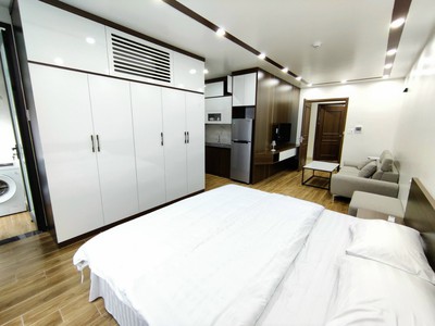 Cho thuê căn hộ 1 ngủ xịn xò giá từ 6.5tr tại KĐT Waterfront 0