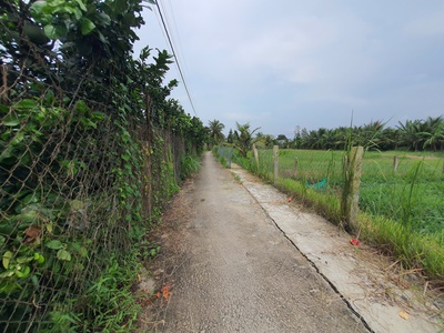 Đất 6x30m đh89 vô 50m giá 3xx triệu 4
