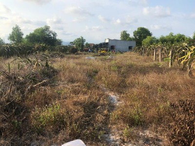 Giảm 50  1000m2 đất ont tân tiến - tx lagi chỉ 1.3 tỷ gần biển tam tân 4