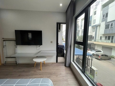 Cho thuê căn hộ cao cấp 1 ngủ Studio Waterfront City. 2