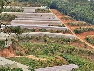 Bán lô đất tại phường 5 nối liền với xã tà nung, tp.đà lạt, tỉnh lâm đồng 0