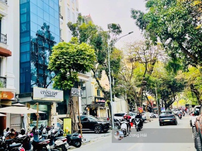 Bán nhà mặt phố cát linh - đống đa - s 120m mt 10m - vỉa hè kinh doanh - xây tòa nhà đẹp 1