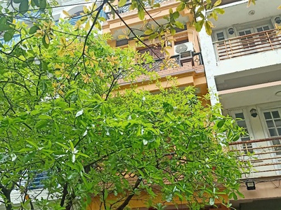 Cho thuê nhà liền kề mỹ đình làm văn phòng công ty 0