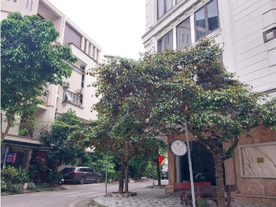 Chính chủ- bán nhanh nhà mặt phố tam trinh vỉa hè 63m 6 tầng - kinh doanh ô tô tải tránh - chỉ hơn 2