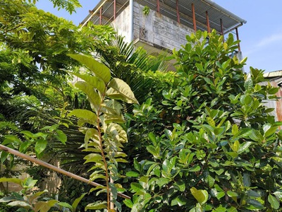 Nhà 3 tầng - xe hơi ngủ trong nhà - 93m2 -  5.2 tỷ - tân thới nhất,q12 2