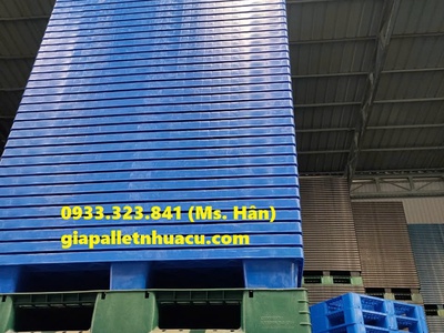 Thanh Lý Pallet Nhựa Cũ Giá Tốt Tại Đồng Nai - Công Ty Mai Trâm 1