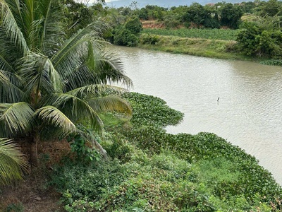  290 triệu   bán gấp 1.776m  đất nông nghiệp   mặt sông, đường ô tô đến đất    vị trí:    đất 0