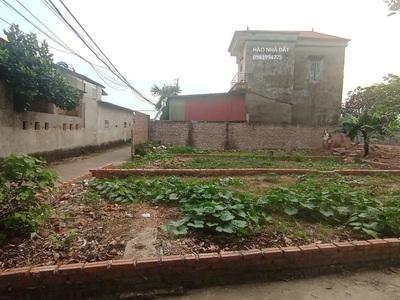 Bán đất xuân lâm, thuận thành. 55m2   mt 4,8m   2,5 tỷ. lô góc, đường ô tô. 2